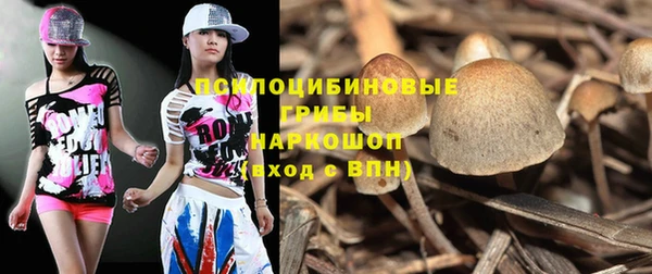 2c-b Алзамай