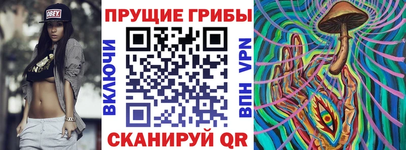 Псилоцибиновые грибы Psilocybine cubensis  купить наркотики цена  дарк нет Telegram  Алексеевка 
